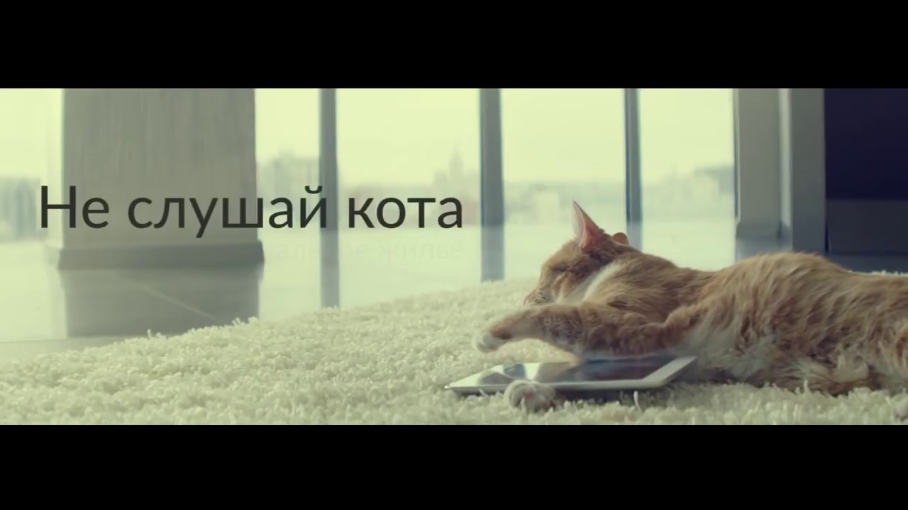 Слушать котик