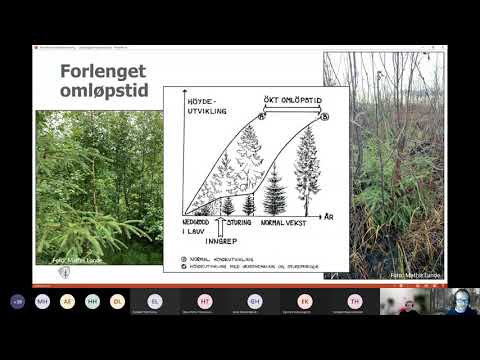 Webinar for skogeigarar:
