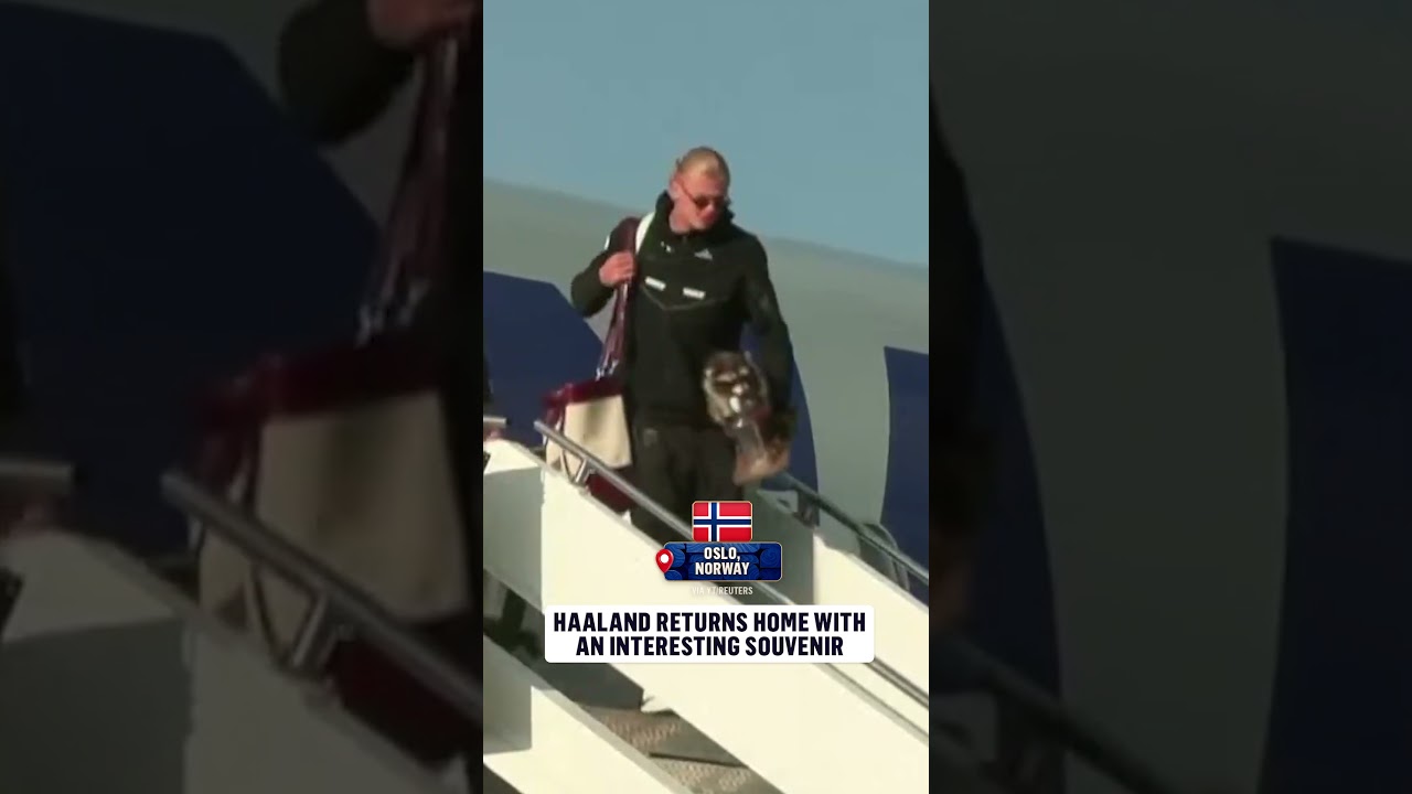 After a summer to remember, Erling Haaland chose to bring a taxidermy raccoon back to Norway 🤣