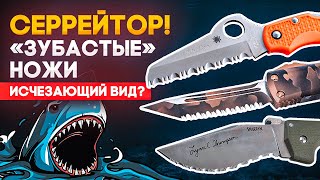 Серрейтор: зачем нужен серрейторный нож? | Серрейторная заточка во всех подробностях