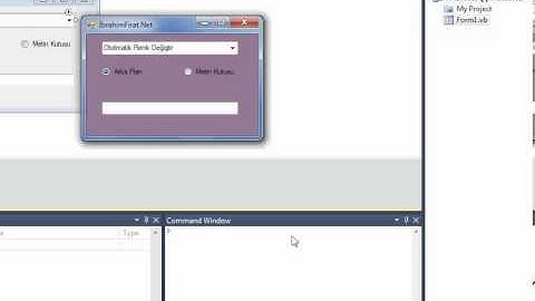 Form Rengini Değiştirme Vb.NeT