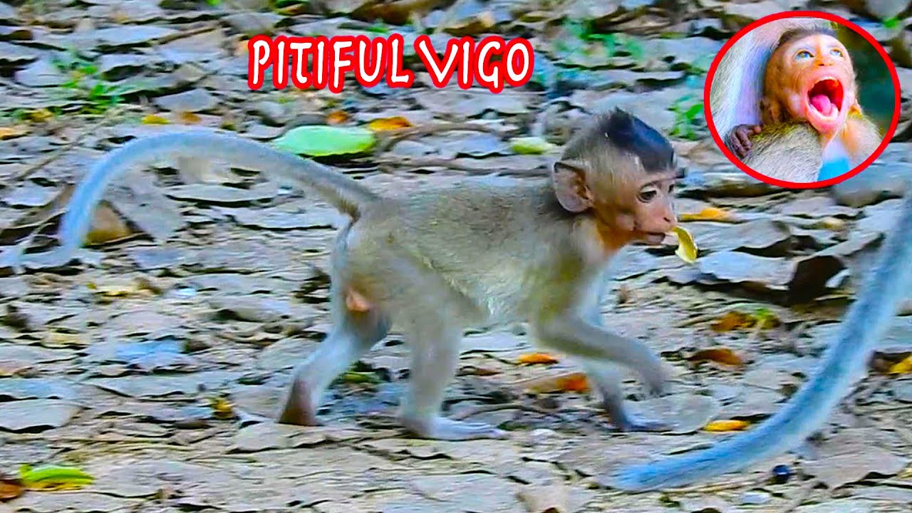 Appetite weaning blind baby Vigo tantrum crying for food looks is really active for grab food