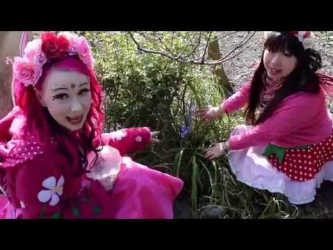 Lily Peas Blossom's Facebook Journey