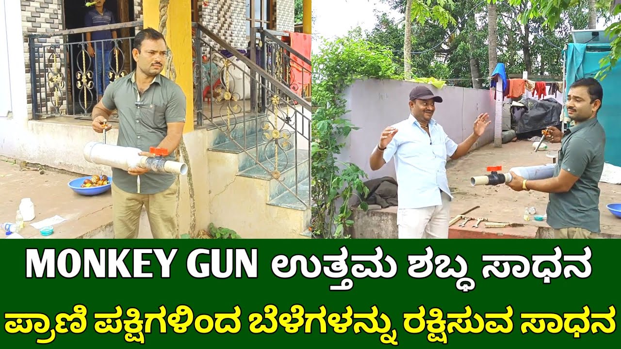 ಪ್ರಾಣಿ ಪಕ್ಷಿಗಳಿಂದ ಬೇಳೆ ರಕ್ಷಿಸಲು ಮಂಕಿ ಗನ್ | bird and animal scare gun | monkey gun in karnataka