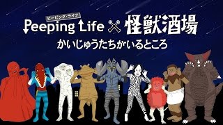 『Peeping Lifex怪獣酒場 かいじゅうたちがいるところ』PV