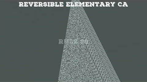 Reversible Elementary Cellular Automaton