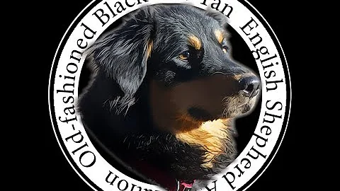 A History of the Old fashioned Black and Tan Engli...