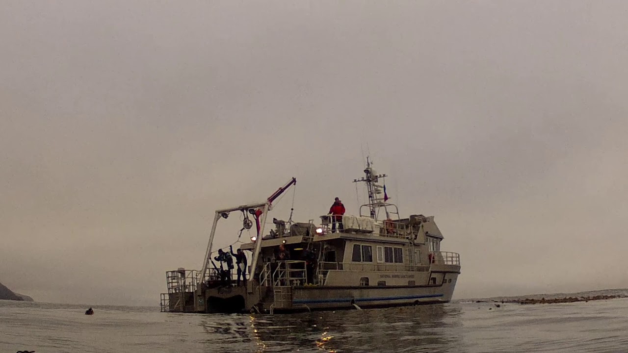UC Santa Cruz LandelsHill Big Creek Natural Reserve YouTube
