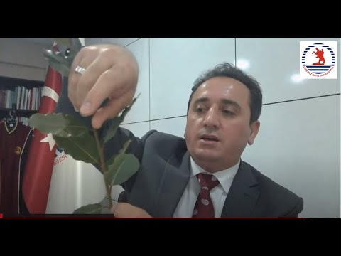 OMÜ Eğitim Fakültesi Akşam Sohbetleri-Prof. Dr. Hamza ÇALIŞICI