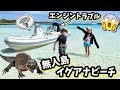 無人島で エンジントラブル😱 ボートが動かない😭 野生のイグアナ!?🦎 春休み旅行 南の島