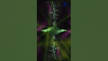 Fractals: Exploring the Beauty of Space #cosmos #interestingfacts #universe #fractal