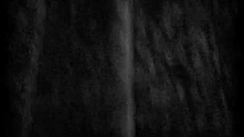 Fatal Frame: The Calamity