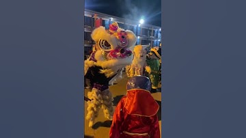 Thumbnail of Dragon dance chinese new year in Houston