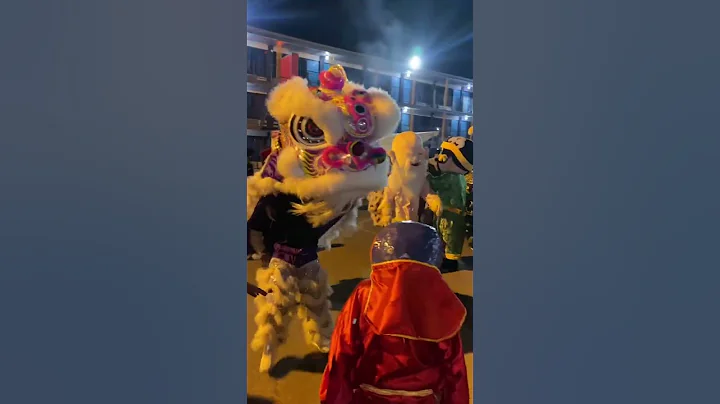 Dragon dance chinese new year in Houston - DayDayNews