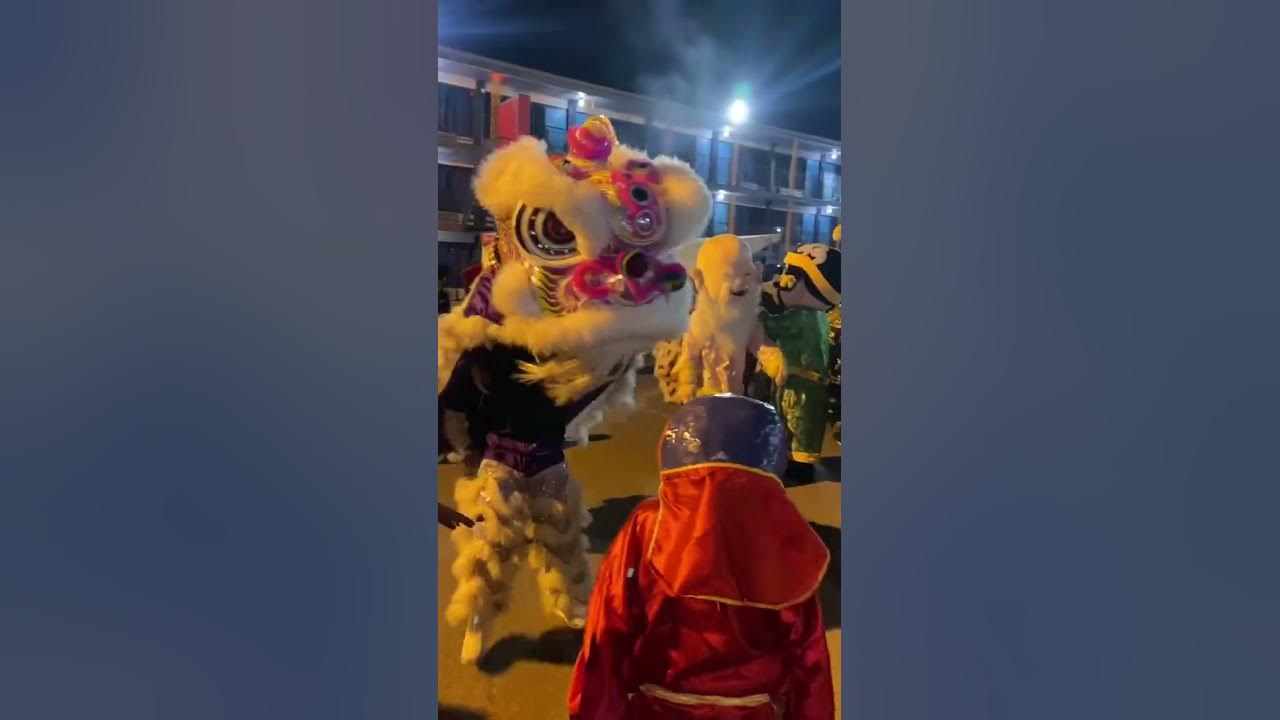 Dragon dance chinese new year in Houston Dragon dance chinese new year in Houston