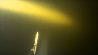 подводная охота судак сазан