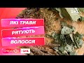 Які рослини допоможуть зберегти волосся – травник Вадим Жигун