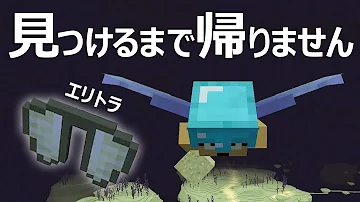 マイクラ エリトラ マイクラ エリトラ