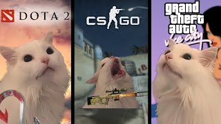 Cat MEOW but in popular games (2) by Malow Meme 85,917 views 1 year ago 58 seconds
