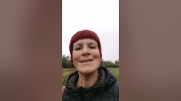 UCAS statement - deadlines and what to write for art and design courses