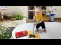 Smart monkey Lily knows how to use a broom to clean the floor