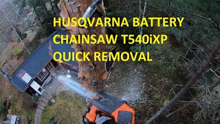 Quick tree removal with battery chainsaw  | Husqvarna T540iXP by patkarlsson 4,685 views 1 year ago 9 minutes, 27 seconds