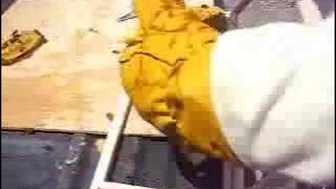 Cut-Out Frames: Removing Bee