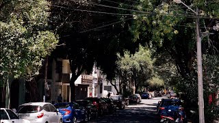 &quot;Chiles Verdes&quot; - Grupo Mono Blanco - LETRAS