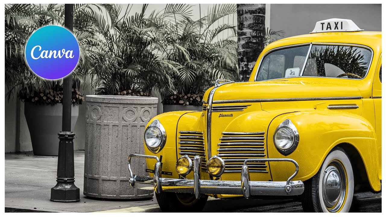 How to make a Specific Color Pop in Black and White Image - Canva Tutorial