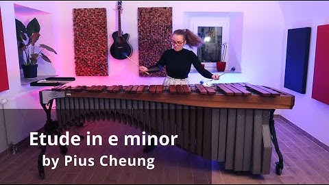 Pius Cheung - Etude in e minor played by Alenka Jezernik