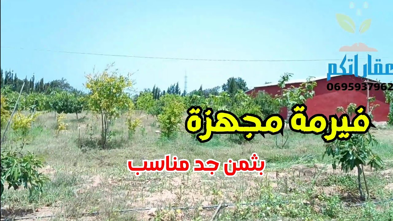 عرض غير متوفر