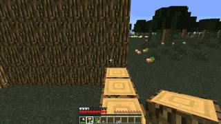 Przygody Z Mineraft Symus Odc.1 Budowanie Domu