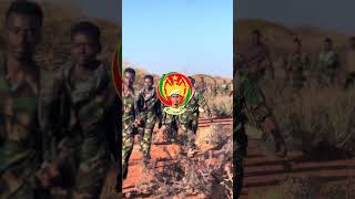 Dila Sheydaanka Dambi Kama Imanayee Dila shere like fallowing saar