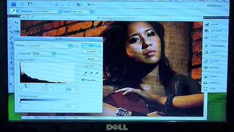 Dell Mini 10v - Hackintosh MacBook