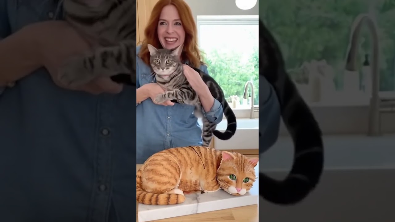 Кот принял торт за кота🤣Часть -20