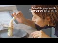 Tower of the sun -making movie-