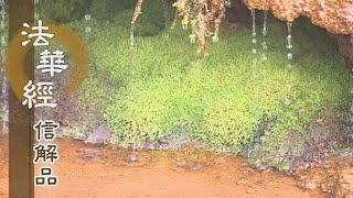 【靜思妙蓮華】法華經信解品 - 執空而不進求 - 20210319 第732集