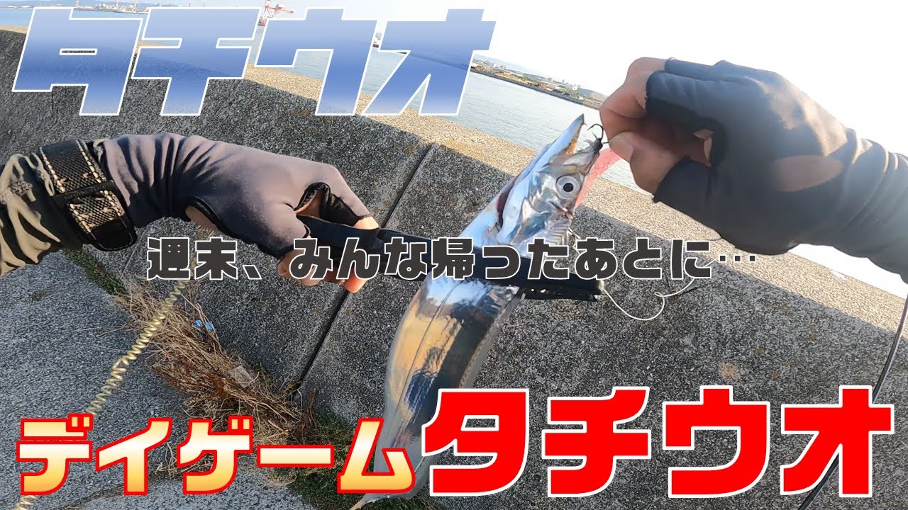 【タチウオ釣り】週末、みんな帰っていく朝マズメ後に…＜和歌山釣り＞