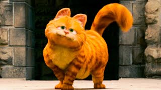 GARFIELD: A TAIL OF TWO KITTIES Clip  'Favorite Cat' (2006)