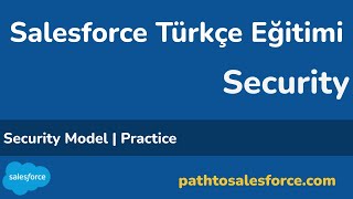 Sf Security 12 Security Model Practice