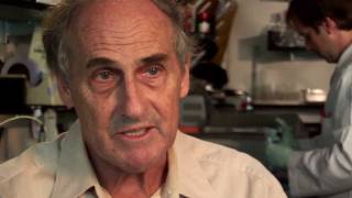 Ralph Steinman, Nobel prize winner, speaks about dendritic cells and immune-based vaccines