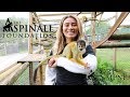 ZOOKEEPER FOR A DAY 🐒 | MONTANA BROWN