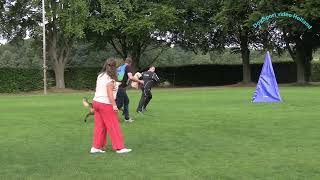 Sr Catnr 10 Vigo Vom Osterberger Land