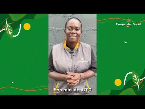 Así avanza la Ruta Indígena II en Chocó
