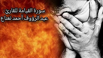 سورة القيامة للقارئ : عبد الرؤوف أحمد نعناع | حفص عن عاصم |