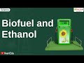 Biofuels and Ethanol Quiz