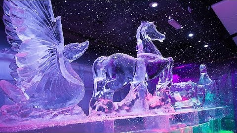 Chillout (with interactive video comprehension activity)