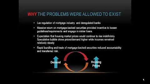 Sarah Zeigler Term Project-Financia...  Crisis Pre...