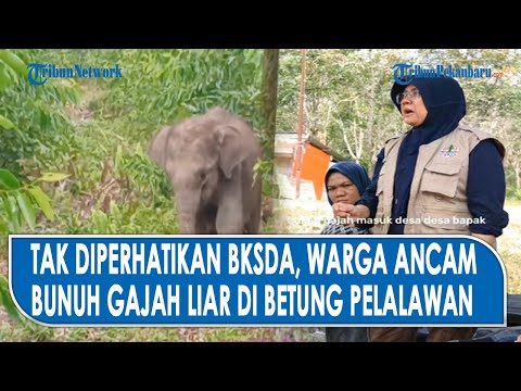 Warga Ancam Bunuh