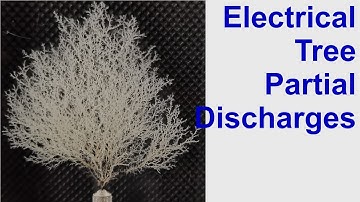 3.5 Types of Partial Discharges - Electrical Treeing